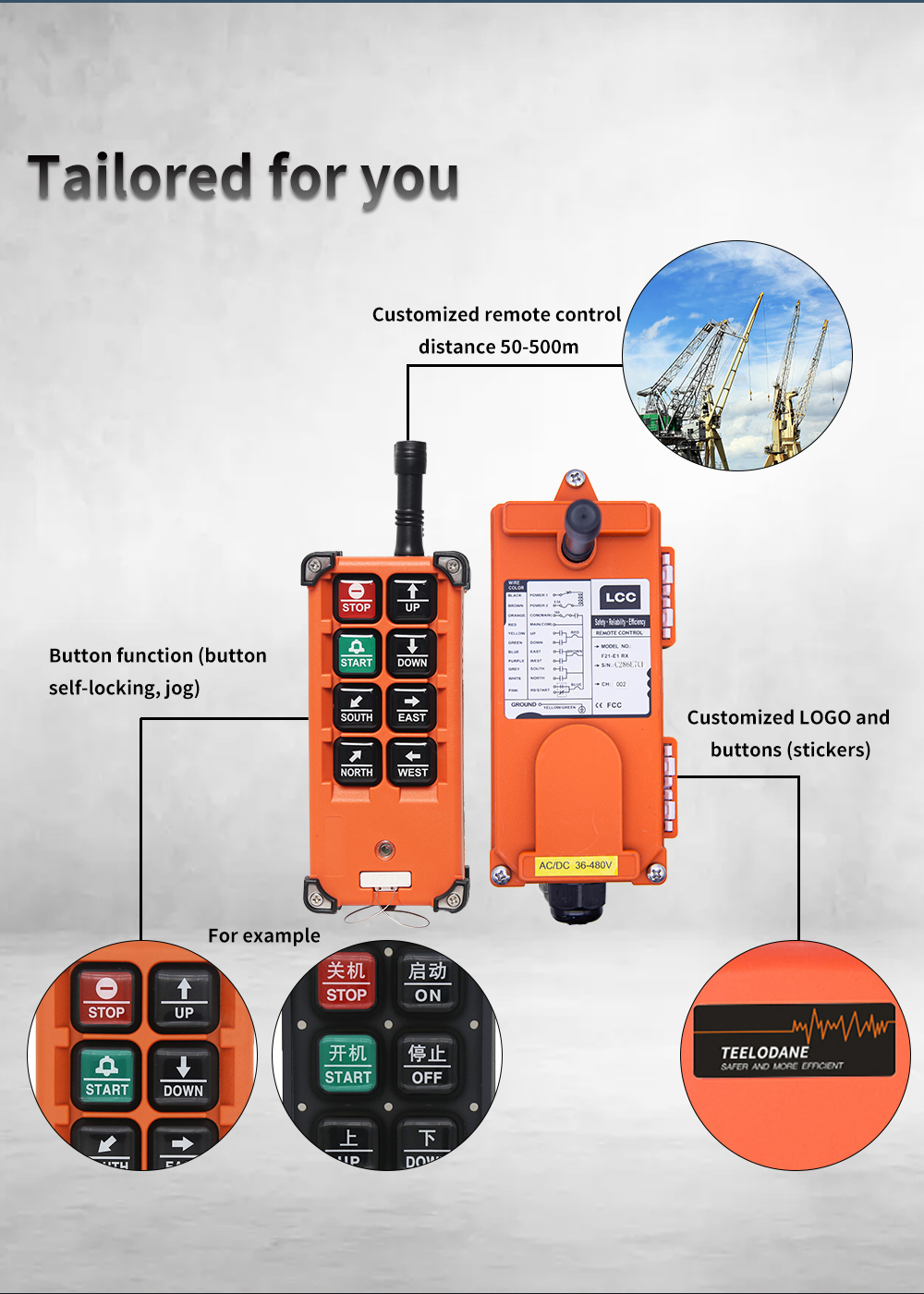 F21-E1B LCC 详情页 (2) F21-E1B LCC-Ausführung (2