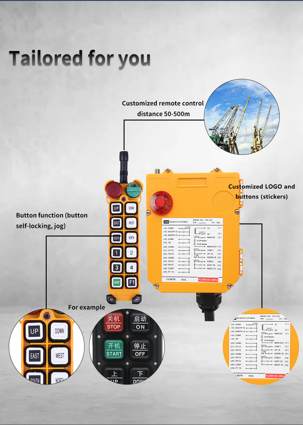 F24-12D LCC-Ausführung (2) 